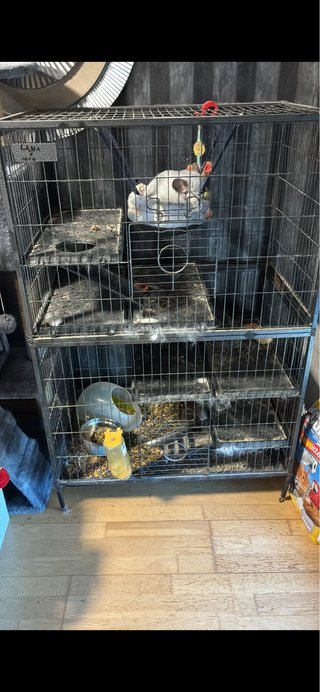 Se vende todo Jaula Grande de Dos Pisos