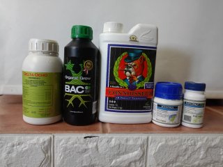 Pack Bonsáis Crecimiento