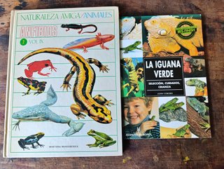 Lote 2 Libros Reptiles y Anfibios