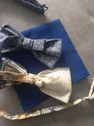 Lote 2 pajaritas y pañuelo de bolsillo