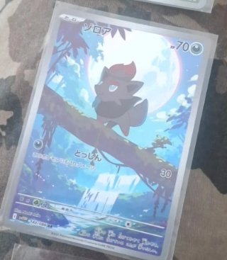 Carta Pokémon Zorua