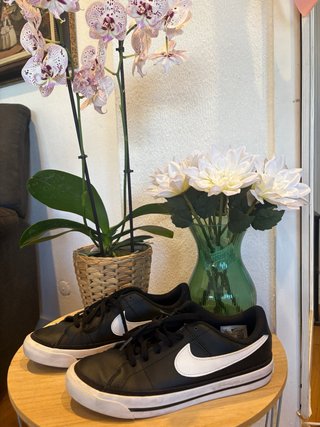 Zapatillas Nike Court Legacy