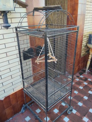 Jaula grande para loro o voladero