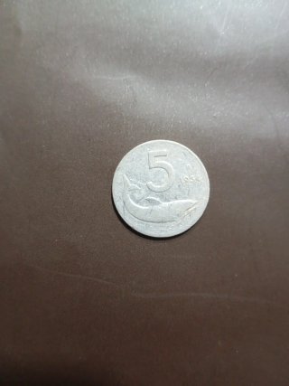 Moneta 5 Lire 1954 Delfino