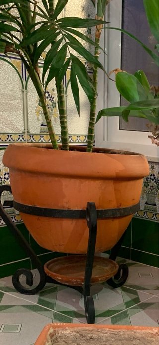 Maceta de Terracota con Soporte Metálico