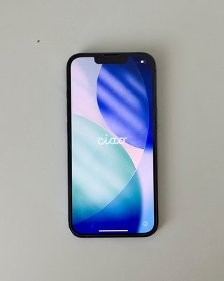 iPhone 13 Pro Blu - Schermo posteriore rotto