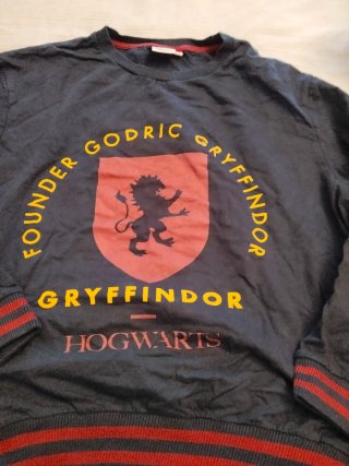 Sudadera Harry Potter Gryffindor
