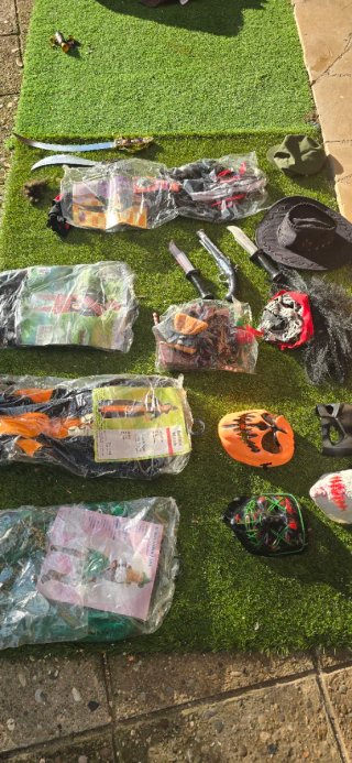 Lote de Disfraces y Accesorios Halloween