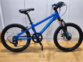 Bicicleta Infantil WYLDEE 20 pulgadas