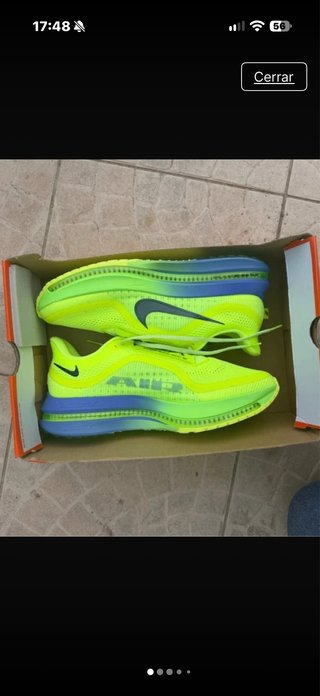 Zapatillas Nike Pegasus Premium