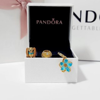 Set de 3 Charms Pandora