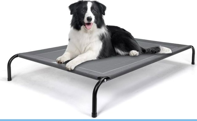 Cama Elevada para Perro