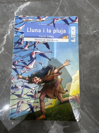 Lluna i la pluja