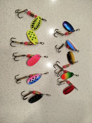 Set de 10 Cucharillas para Pesca de Trucha