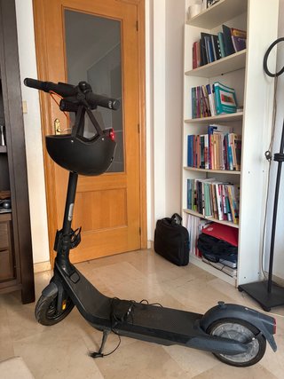 Patinete Eléctrico Segway Ninebot E2 Pro