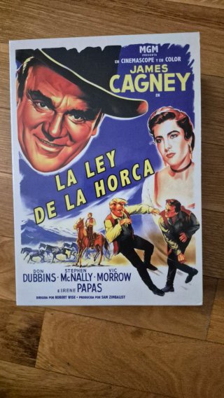 DVD La Ley de la Horca (Tribute to a Bad Man)