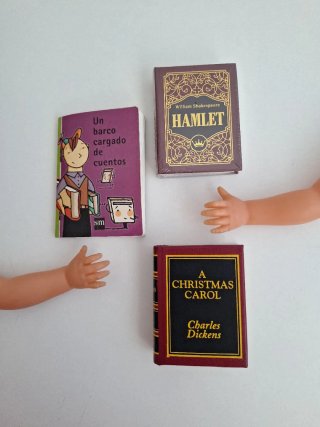 Set de 3 Libros en Miniatura