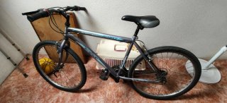 Bicicleta de Montaña Gris