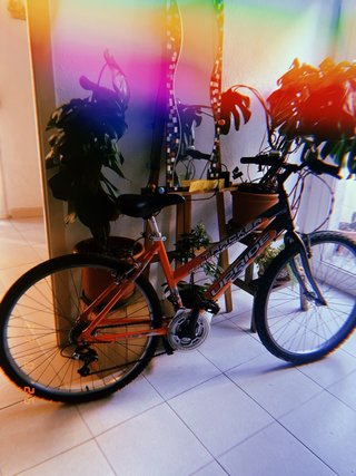 Bicicleta de montaña