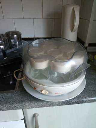 Yogurtera Moulinex con 7 Tarros