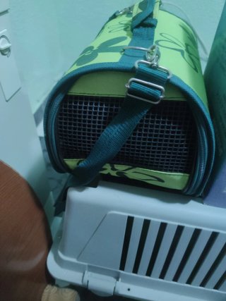 Transportín para mascotas pequeño
