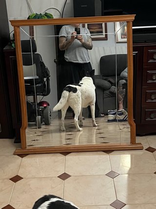 Espejo con Marco de Madera
