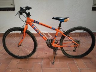 Bicicleta Infantil Naranja (20 pulsadas)