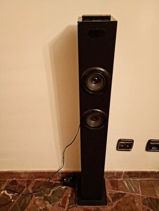 Altavoz de Torre Negro con Mando