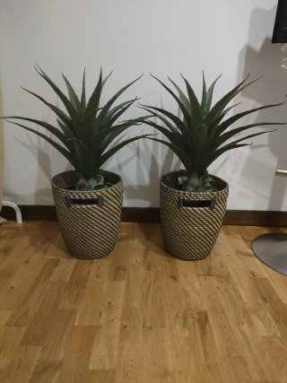Set de 2 Plantas Artificiales con Cesta