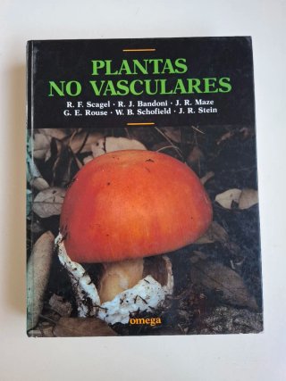 Plantas no vasculares