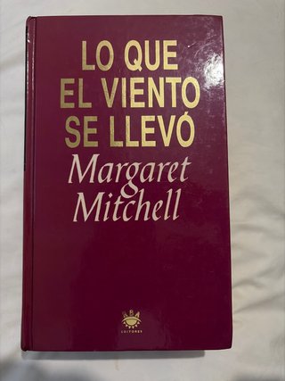 Lo que el viento se llevó