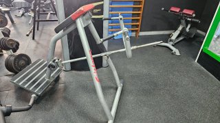 Máquina de Remo en Punta Profesional