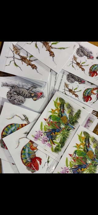 láminas ilustradas de reptiles y aves