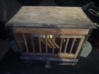 Jaula de madera para codornices