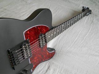 Guitarra Eléctrica Harley Benton TE-20HH
