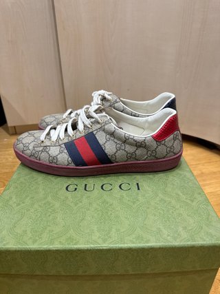 Zapatillas Gucci New Ace