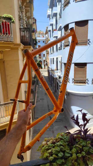 Telaio Specialized Stumpjumper M2X