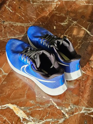 Zapatillas Nike Pegasus 39 Azules