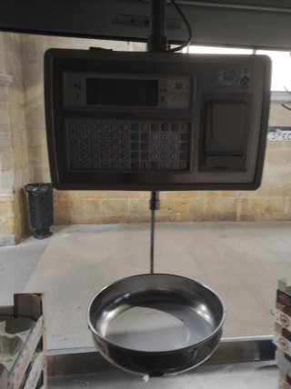 Báscula Electrónica con Pantalla