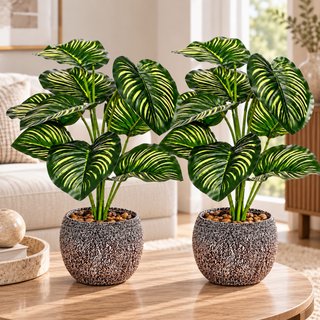 2 Plantas Decorativas con Maceta 37cm