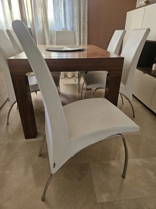 Set de 6 Sillas de Salón Contemporáneas
