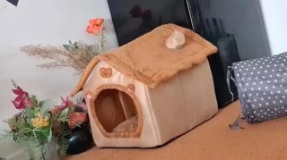 Cama casita para gatos perros pequeños mascotas