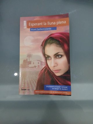 Esperant la lluna plena