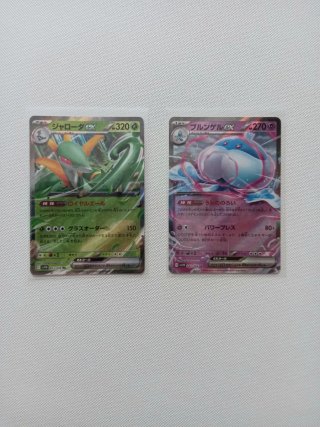 2 Cartas Pokémon EX (Japonesas)