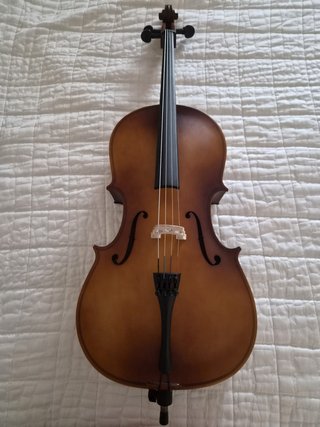 Violonchelo Amadeus