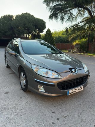 Peugeot 407sw 2006 B