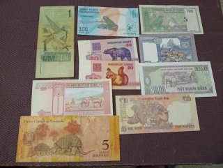 Lote de 10 billetes internacionales