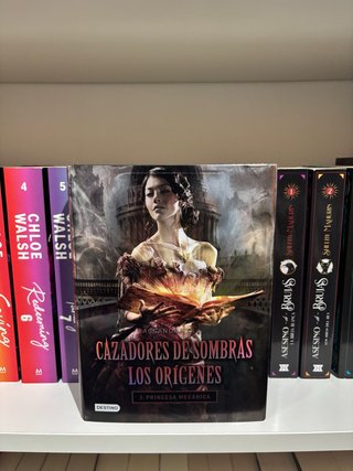 Un amor de Swann