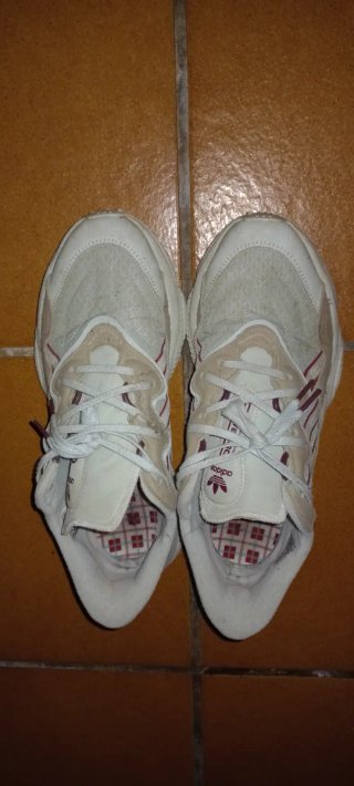 Zapatillas adidas Ozweego