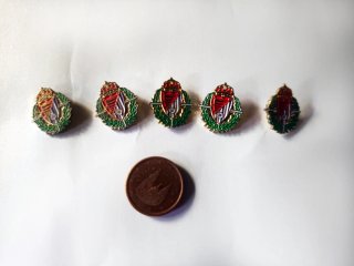 5 Pins Real Valladolid